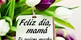 Día de la Madre. Madre, escuela de la vida y de la fe