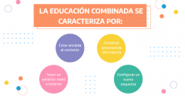 Educación combinada: características y aspectos a tener en cuenta