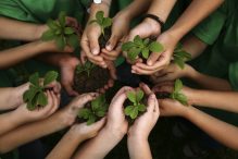 El desafío de la educación ambiental en el aula