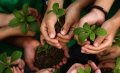 Comprender la sostenibilidad: la educación ambiental en la hoja de ruta del bienestar